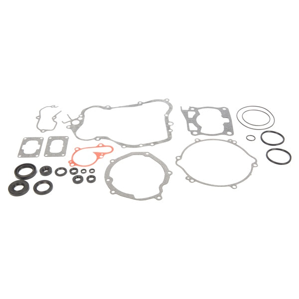 VERTEX GASKET SET & OIL SEALS (811639) - Driven Powersports