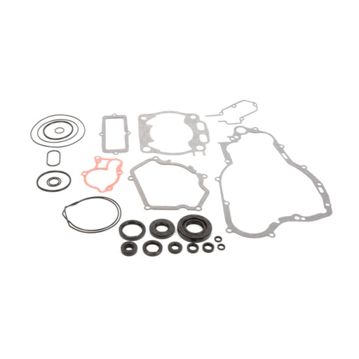 VERTEX GASKET SET & OIL SEALS (811669) - Driven Powersports