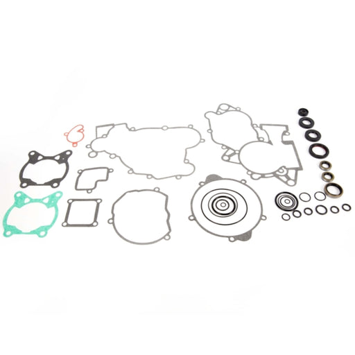 VERTEX GASKET SET & OIL SEALS (811315) - Driven Powersports