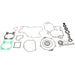 VERTEX GASKET SET & OIL SEALS (811315) - Driven Powersports