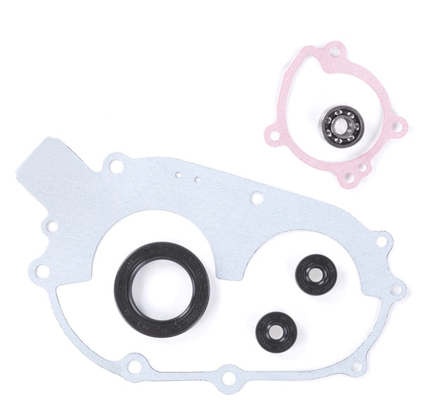 VERTEX WATER PUMP REPAIR KIT POL (821808) - Driven Powersports