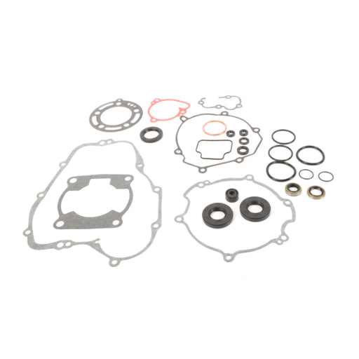 VERTEX GASKET SET & OIL SEALS (811418) - Driven Powersports