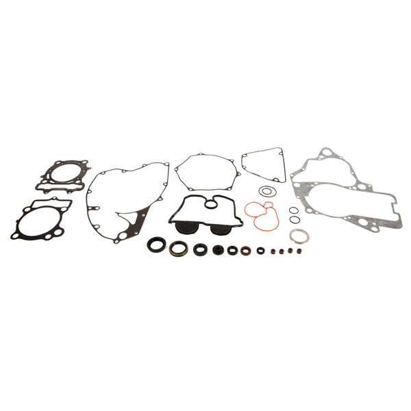 VERTEX GASKET SET & OIL SEALS (811568) - Driven Powersports