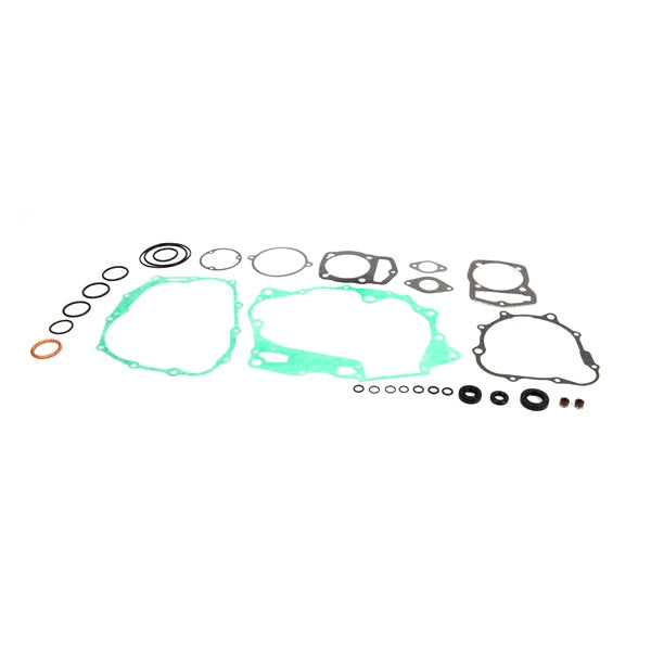 VERTEX GASKET SET & OIL SEALS (811242) - Driven Powersports