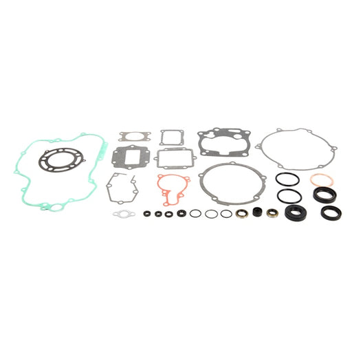 VERTEX GASKET SET & OIL SEALS (811429) - Driven Powersports