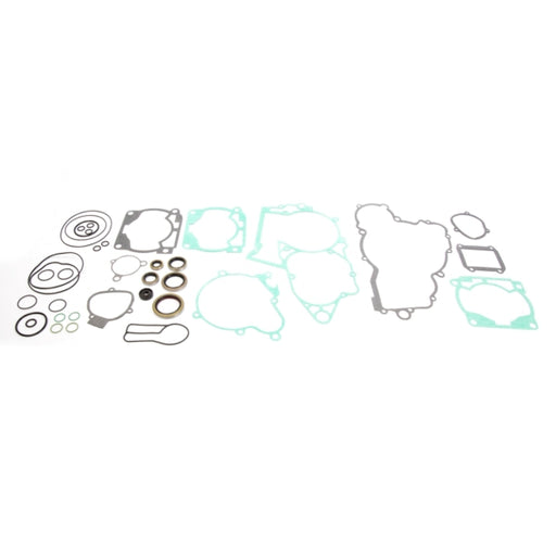 VERTEX GASKET SET & OIL SEALS (811335) - Driven Powersports