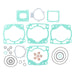 VERTEX TOP END GASKET SET (810976) - Driven Powersports