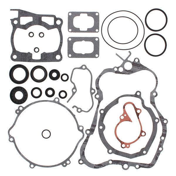 VERTEX GASKET SET & OIL SEALS (811639) - Driven Powersports