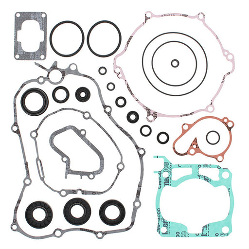 VERTEX GASKET SET & OIL SEALS (811641) - Driven Powersports