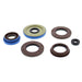 VERTEX ENGINE OIL SEAL KIT (822198) - Driven Powersports