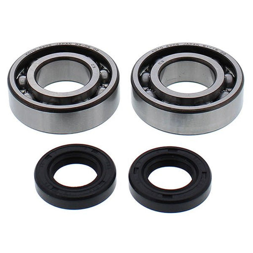 ALL BALLS CRANKSHAFT BEARING KIT (24 - 1120) - Driven Powersports Inc.24 - 1120