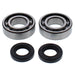 ALL BALLS CRANKSHAFT BEARING KIT (24 - 1120) - Driven Powersports Inc.24 - 1120