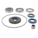 ALL BALLS DIFFERENTIAL KIT (25 - 2150) - Driven Powersports Inc.25 - 2150