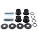 ALL BALLS RACING A-ARM BEARING KIT - Driven Powersports Inc.50-1192