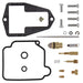 ALL BALLS RACING CARBURETOR REPAIR KIT - Driven Powersports Inc.72398043274526-1493