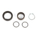 ALL BALLS RACING COUNTERSHAFT SEAL KIT - Driven Powersports Inc.72398041214325-4007