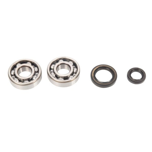 ALL BALLS RACING CRANKSHAFT BEARING AND SEAL KIT - Driven Powersports Inc.72398041156624-1003