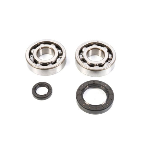 ALL BALLS RACING CRANKSHAFT BEARING AND SEAL KIT - Driven Powersports Inc.72398041157324-1004