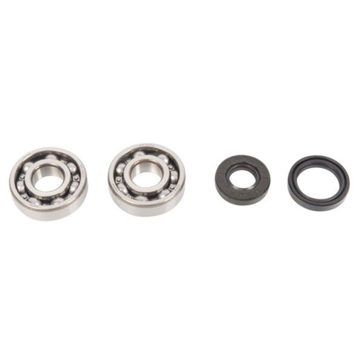 ALL BALLS RACING CRANKSHAFT BEARING AND SEAL KIT - Driven Powersports Inc.72398041393524-1008