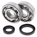 ALL BALLS RACING CRANKSHAFT BEARING AND SEAL KIT - Driven Powersports Inc.72398041396624-1016