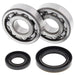 ALL BALLS RACING CRANKSHAFT BEARING AND SEAL KIT - Driven Powersports Inc.72398042233324-1019