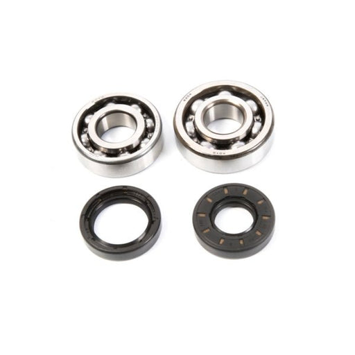 ALL BALLS RACING CRANKSHAFT BEARING AND SEAL KIT - Driven Powersports Inc.72398041398024-1023