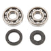 ALL BALLS RACING CRANKSHAFT BEARING AND SEAL KIT - Driven Powersports Inc.72398041399724-1025