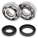 ALL BALLS RACING CRANKSHAFT BEARING AND SEAL KIT - Driven Powersports Inc.72398041399724-1025