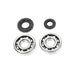 ALL BALLS RACING CRANKSHAFT BEARING AND SEAL KIT - Driven Powersports Inc.72398041153524-1029