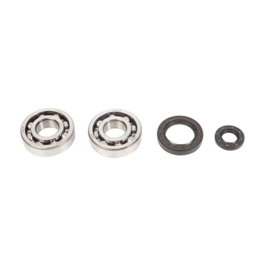 ALL BALLS RACING CRANKSHAFT BEARING AND SEAL KIT - Driven Powersports Inc.72398041402424-1030