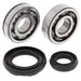 ALL BALLS RACING CRANKSHAFT BEARING AND SEAL KIT - Driven Powersports Inc.72398041403124-1034