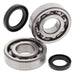 ALL BALLS RACING CRANKSHAFT BEARING AND SEAL KIT - Driven Powersports Inc.24 - 1038