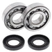 ALL BALLS RACING CRANKSHAFT BEARING AND SEAL KIT - Driven Powersports Inc.72398041405524-1040