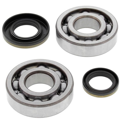 ALL BALLS RACING CRANKSHAFT BEARING AND SEAL KIT - Driven Powersports Inc.72398041167224-1046