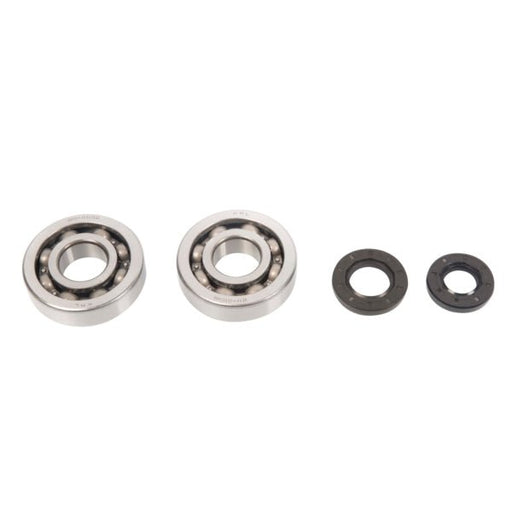 ALL BALLS RACING CRANKSHAFT BEARING AND SEAL KIT - Driven Powersports Inc.72398041158024-1047