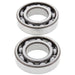 ALL BALLS RACING CRANKSHAFT BEARING AND SEAL KIT - Driven Powersports Inc.72398040496424-1054