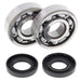 ALL BALLS RACING CRANKSHAFT BEARING AND SEAL KIT - Driven Powersports Inc.72398041409324-1062