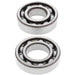 ALL BALLS RACING CRANKSHAFT BEARING AND SEAL KIT - Driven Powersports Inc.72398040502224-1079