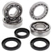 ALL BALLS RACING CRANKSHAFT BEARING AND SEAL KIT - Driven Powersports Inc.72398041413024-1088