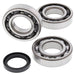 ALL BALLS RACING CRANKSHAFT BEARING AND SEAL KIT - Driven Powersports Inc.72398041415424-1090