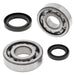 ALL BALLS RACING CRANKSHAFT BEARING AND SEAL KIT - Driven Powersports Inc.72398042241824-1091