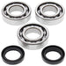 ALL BALLS RACING CRANKSHAFT BEARING AND SEAL KIT - Driven Powersports Inc.72398040506024-1092