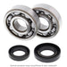 ALL BALLS RACING CRANKSHAFT BEARING AND SEAL KIT - Driven Powersports Inc.61331079588924-1118