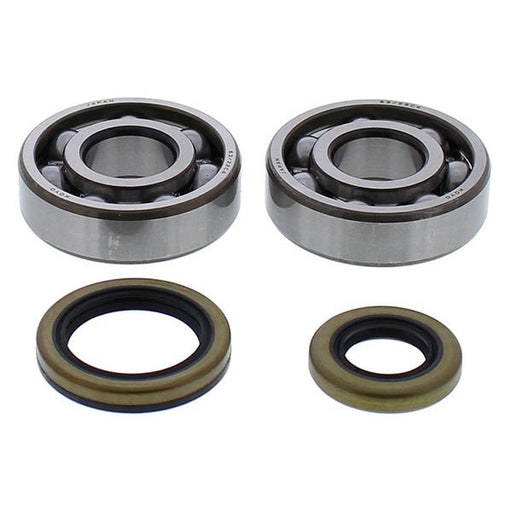 ALL BALLS RACING CRANKSHAFT BEARING AND SEAL KIT - Driven Powersports Inc.61331079589624-1119