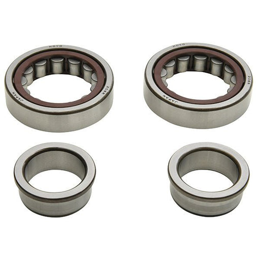 ALL BALLS RACING CRANKSHAFT BEARING AND SEAL KIT - Driven Powersports Inc.24 - 1125