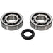 ALL BALLS RACING CRANKSHAFT BEARING AND SEAL KIT - Driven Powersports Inc.24 - 1126