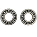 ALL BALLS RACING CRANKSHAFT BEARING AND SEAL KIT - Driven Powersports Inc.24 - 1127