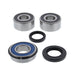 ALL BALLS RACING WHEEL BEARING KIT (25-1756) - Driven Powersports Inc.23725175625-1756