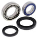 ALL BALLS RACING WHEEL BEARING KIT - Driven Powersports Inc.72398041541025-1567