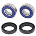 ALL BALLS RACING WHEEL BEARING KIT - Driven Powersports Inc.72398042327925-1670